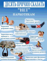 Профилактика наркомании и психоактивных веществ Профилактика наркомании и психоактивных веществ.